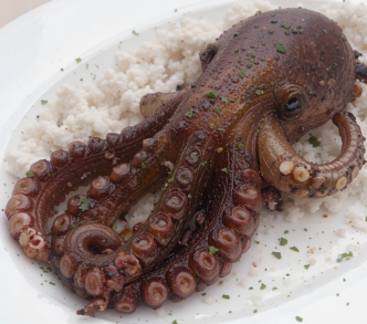 Simple Greek Grilled Octopus Recipe