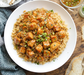 Chicken Teriyaki Rice